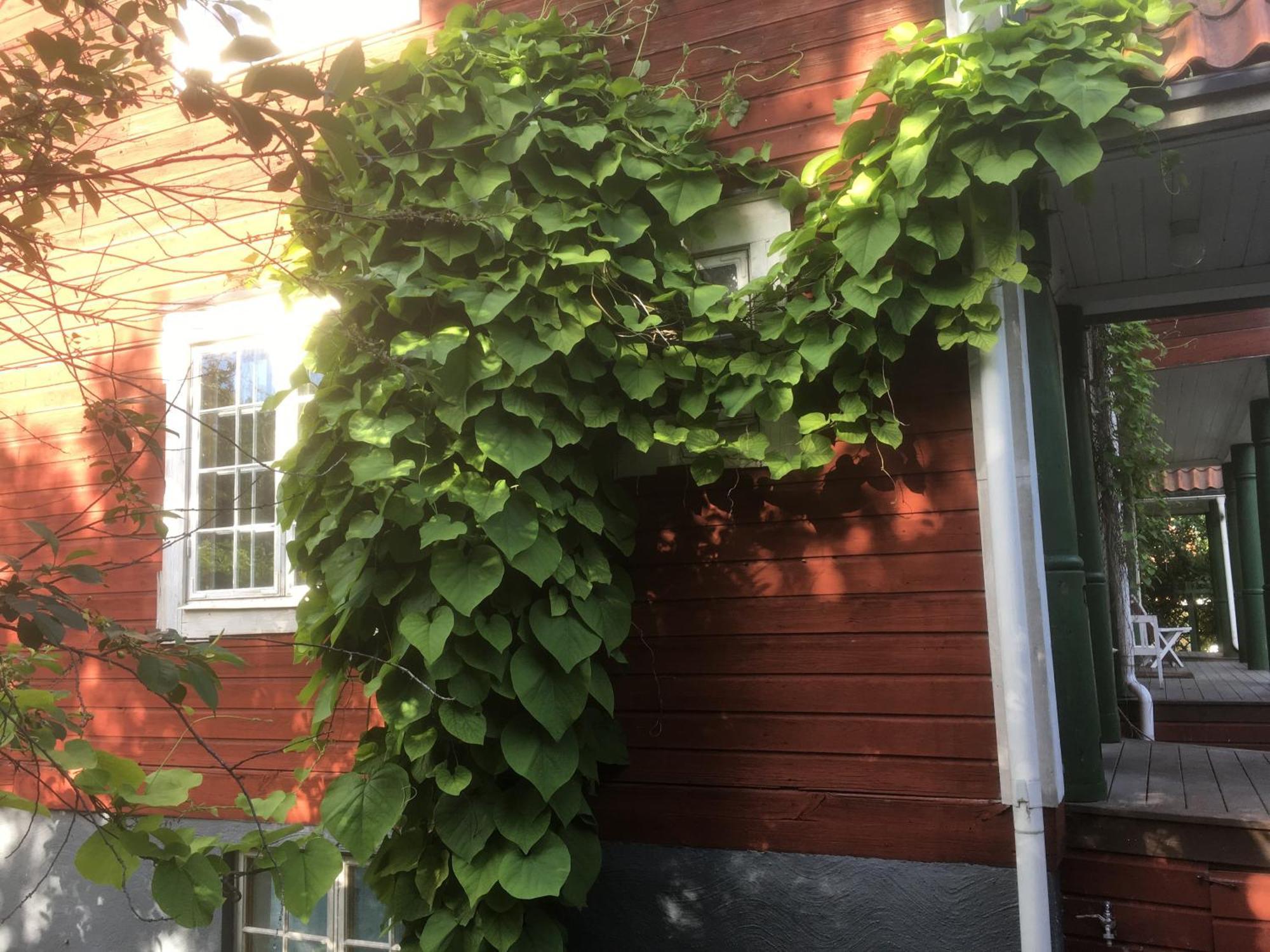 Stockholm B&B Cottage Нака Номер фото