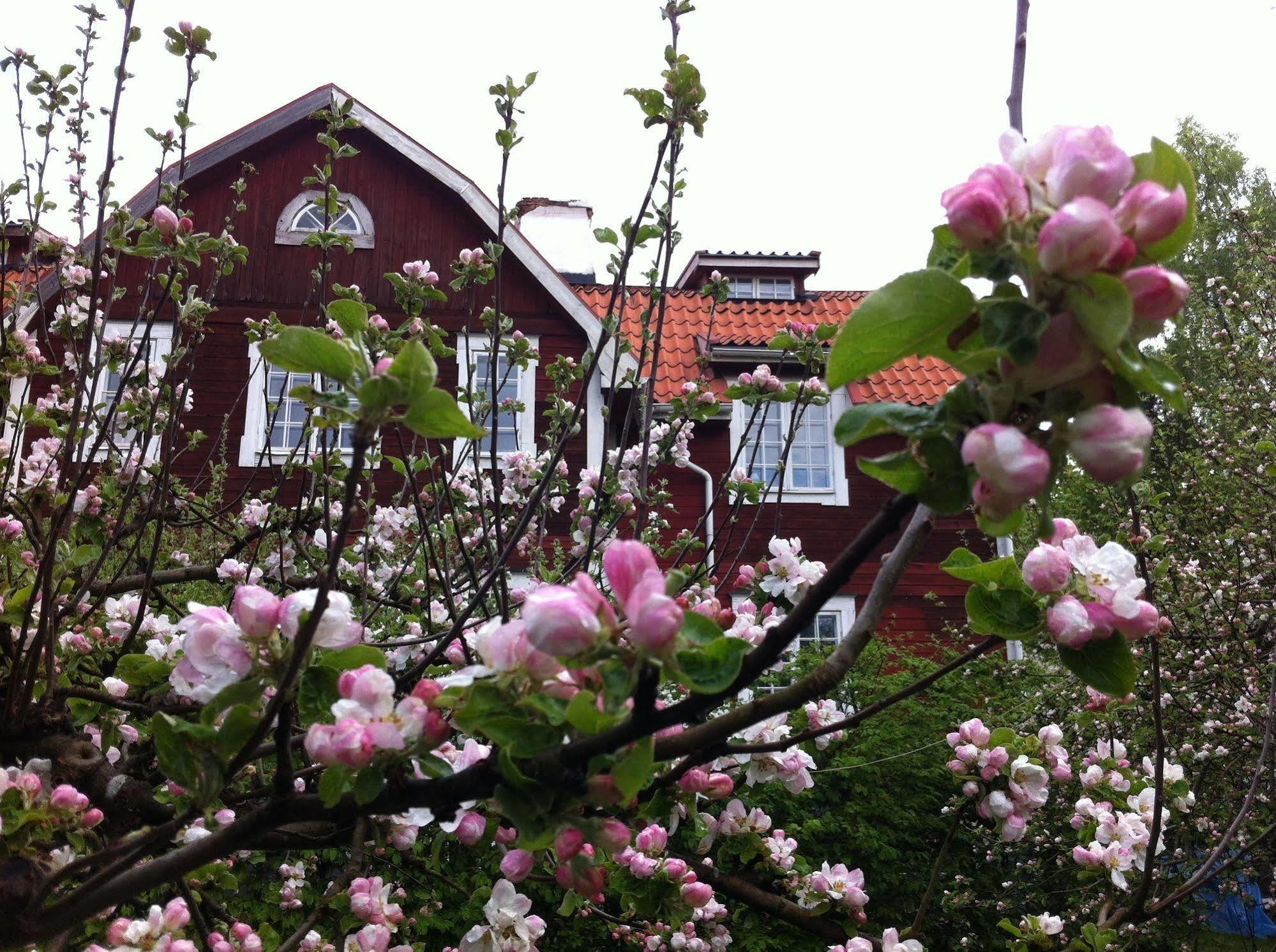 Stockholm B&B Cottage Нака Екстер'єр фото